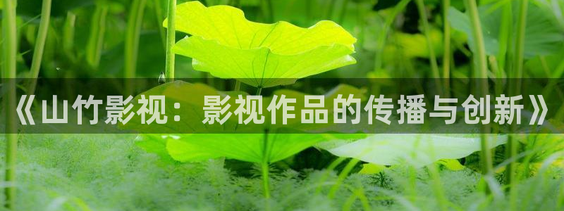 红桃影院电视剧免费观看高清：《山竹影视：影视作品的传播与创新》
