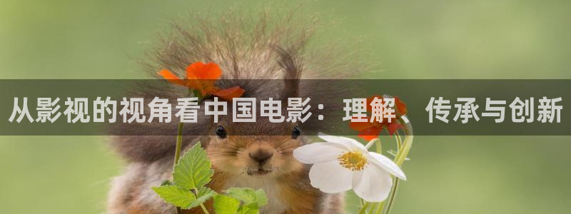 红桃影院在线n ba观看：从影视的视角看中国电影：理解、传承与创新