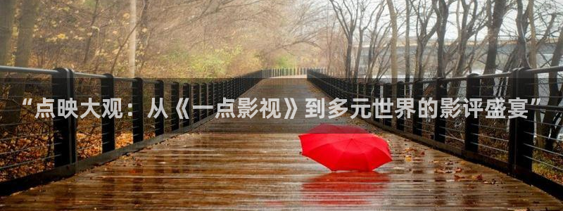 红桃免费影视：“点映大观：从《一点影视》到多元世界的影评盛宴”