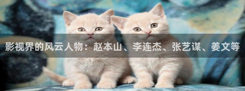 红桃影院电视剧电影免费观看：影视界的风云人物：赵本山、李连杰、张艺谋、姜文等
