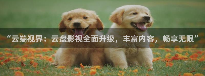 红桃视频免费电影